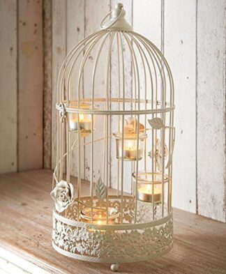 Bird Cages