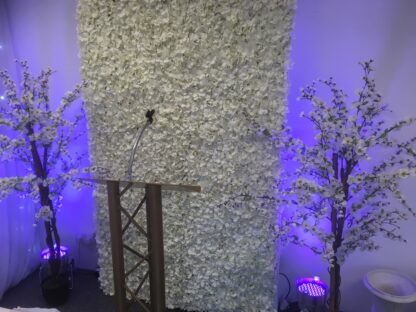 Flower Wall for Hire