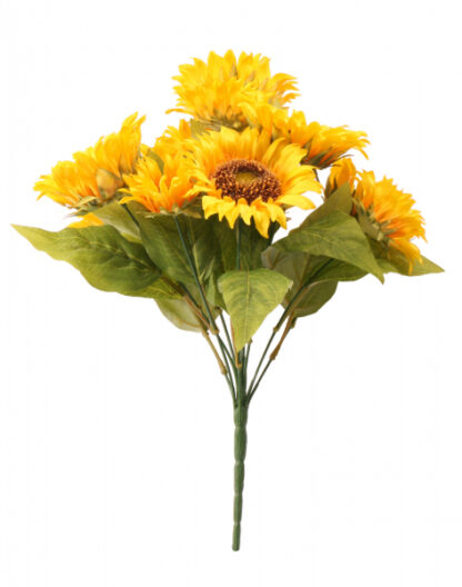 Full Sunflower40cm