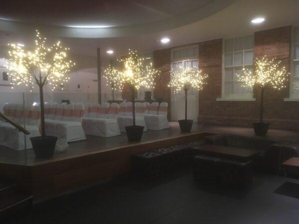 LED Trees for Hire