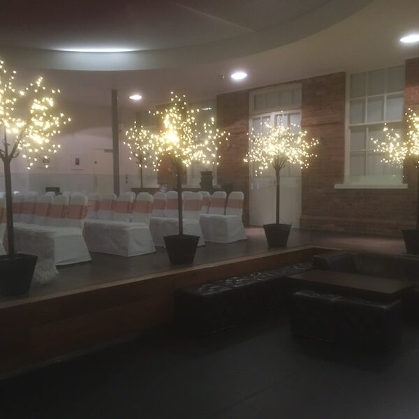 LED Trees for Hire