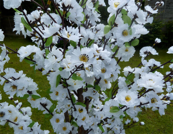 White Blossom Tree Hire